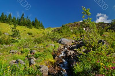 Scenic Mountain landscape