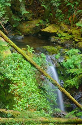 Waterfall in the forest