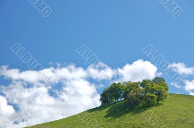 rural spring countryside