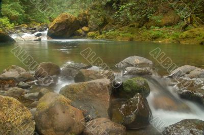 River through a forest