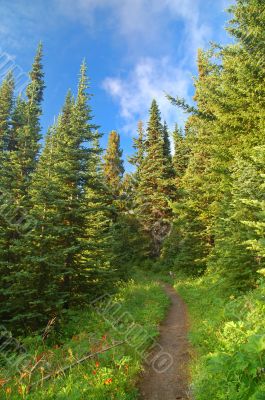 Scenic Mountain landscape