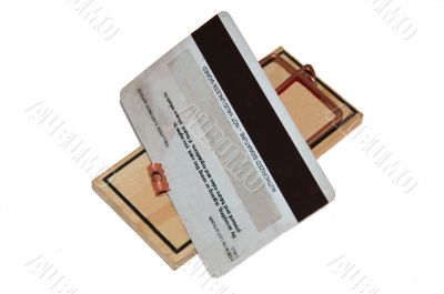 mousetrap wtih credit card