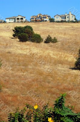 houses on a hill