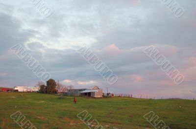 afternoon field