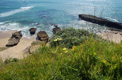 Coastal Views