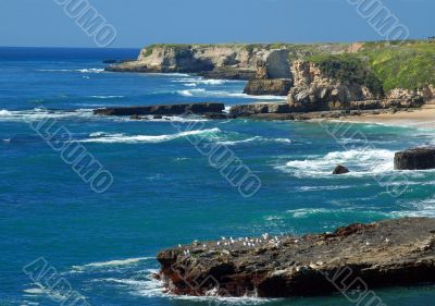 Coastal Views