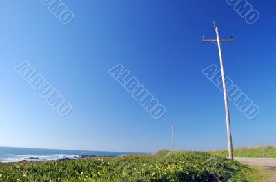 springtime coastal meadow