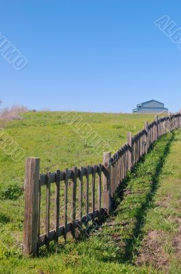 springtime coastal meadow