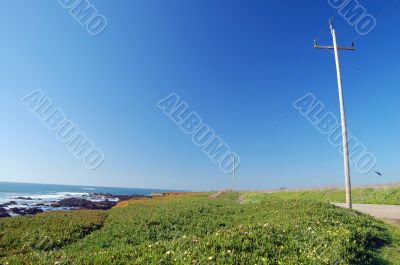 springtime coastal meadow