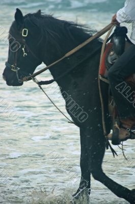 riding into the sunset