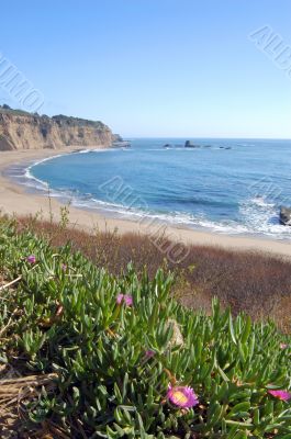 Coastal Views