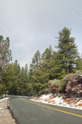 Road on a snowy day