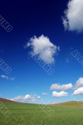field and sky