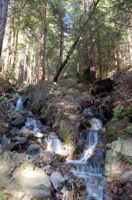 waterfall in the forest