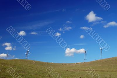 country field