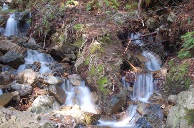 waterfall in the forest