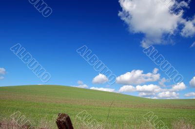 country field
