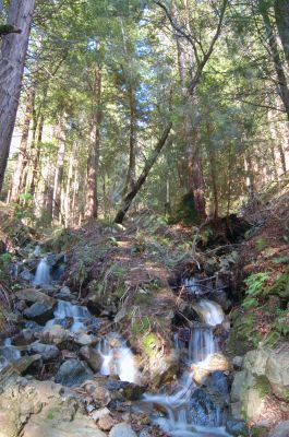 waterfall