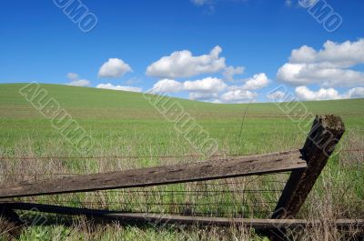 country field
