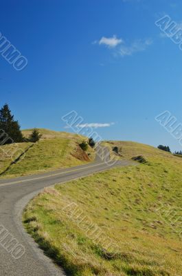 winding road on mount tamapalais