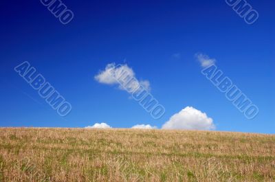 early spring countryside
