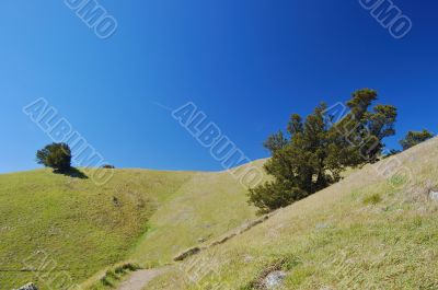 spring countryside