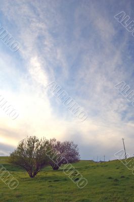 spring countryside