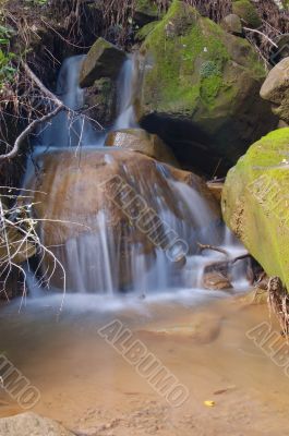 waterfall in the forest