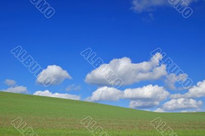 spring field