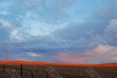 evening field