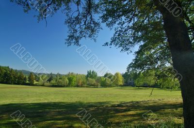 spring countryside