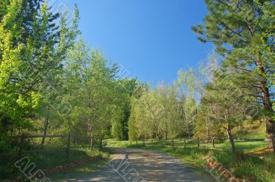 spring countryside