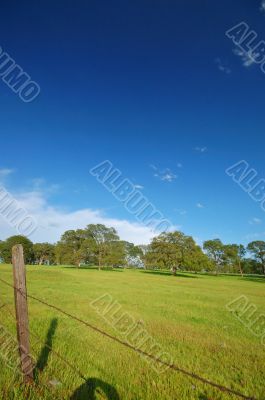 spring countryside