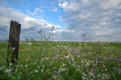 spring countryside