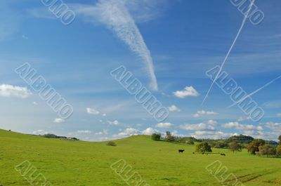 spring countryside