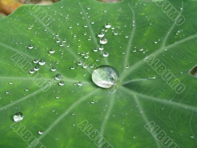 a big waterdrop surrounded by smaller one
