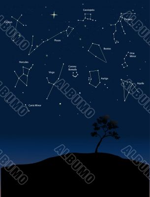 constellations 1