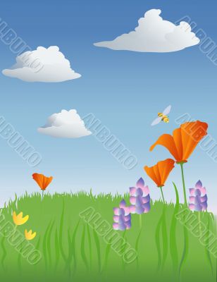 spring meadow illustration