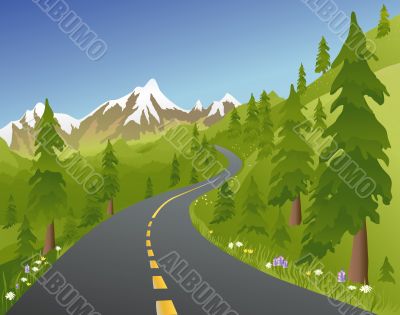 Summer Mountain Road