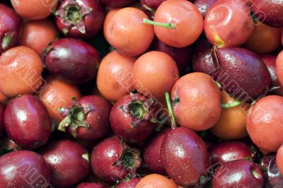 Berries