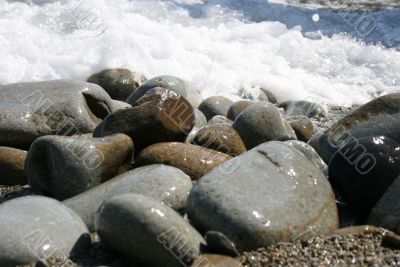 Wet sea stones