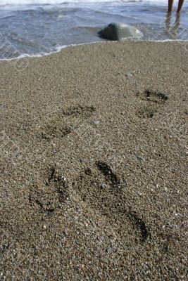 sea shore