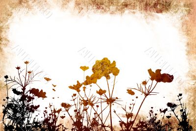 flower abstract textures and backgrounds