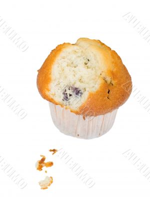 Blueberry Muffin