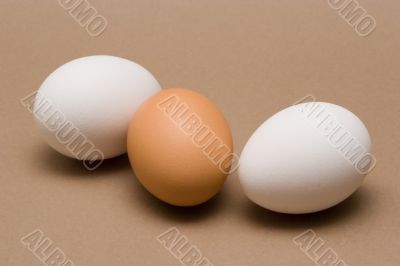 Eggs