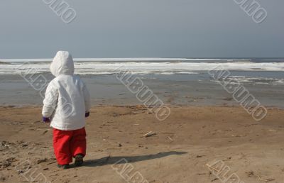 at the beach