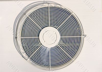 the electric fan