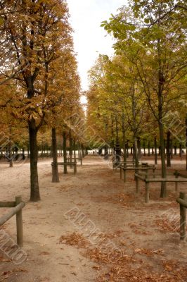 Paris park in fall