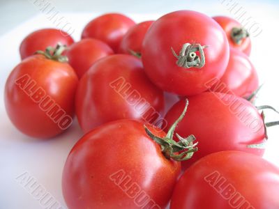 Tomato