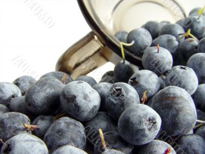 blueberry with cup